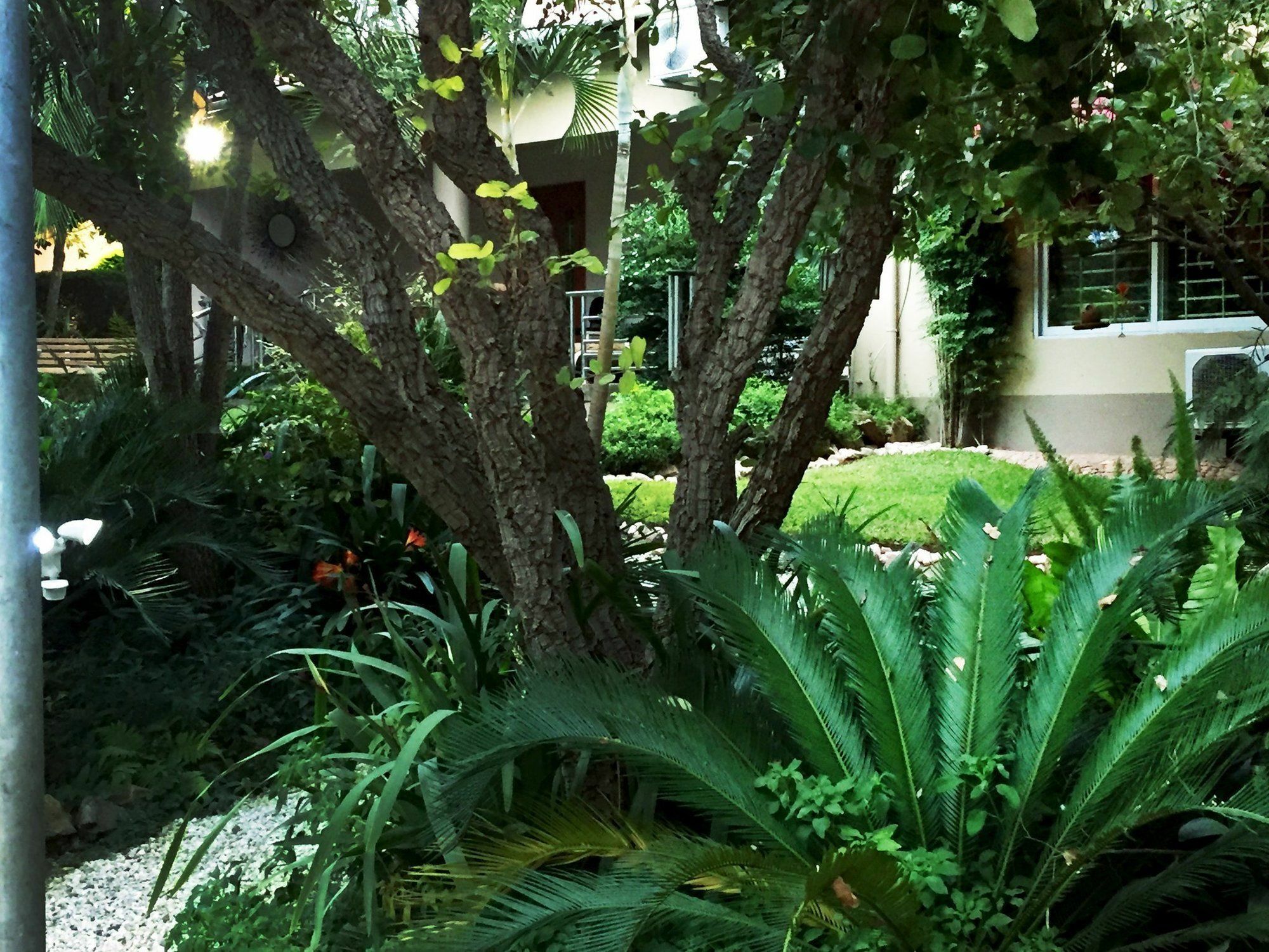 Palmwood Lodge Lusaka Eksteriør billede